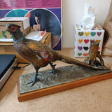 Elegant 1930s Austrian Table Lighter & Match Holder – Cold-Painted Metal Pheasant