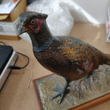 Elegant 1930s Austrian Table Lighter & Match Holder – Cold-Painted Metal Pheasant
