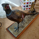 Elegant 1930s Austrian Table Lighter & Match Holder – Cold-Painted Metal Pheasant