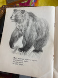 TAK 1958 Soviet Children’s Book by Mikhalkov and Pakhomov Original Detgiz Leningrad Edition