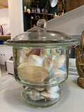 Large Heavy Vintage Apothecary Jar Filled with Polished Mother of Pearl Shells