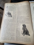 The Million Newspaper – April 8th, 1893 | Victorian Ephemera