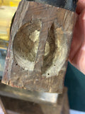 	Carved circular hollow on back of seat of antique Chinese ancestor figure