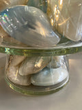 Large Heavy Vintage Apothecary Jar Filled with Polished Mother of Pearl Shells