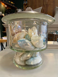 Large Heavy Vintage Apothecary Jar Filled with Polished Mother of Pearl Shells