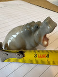 Lomonosov hippopotamus measured with tape measure showing length