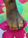 Macro close-up of one front paw of the vintage ceramic tiger planter showing the modelled toe detail, matte glaze with darker tonal variation, and minor paint loss and wear at the foot consistent with age.